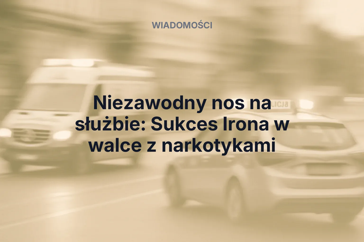 Niezawodny nos na służbie: Sukces Irona w walce z narkotykami