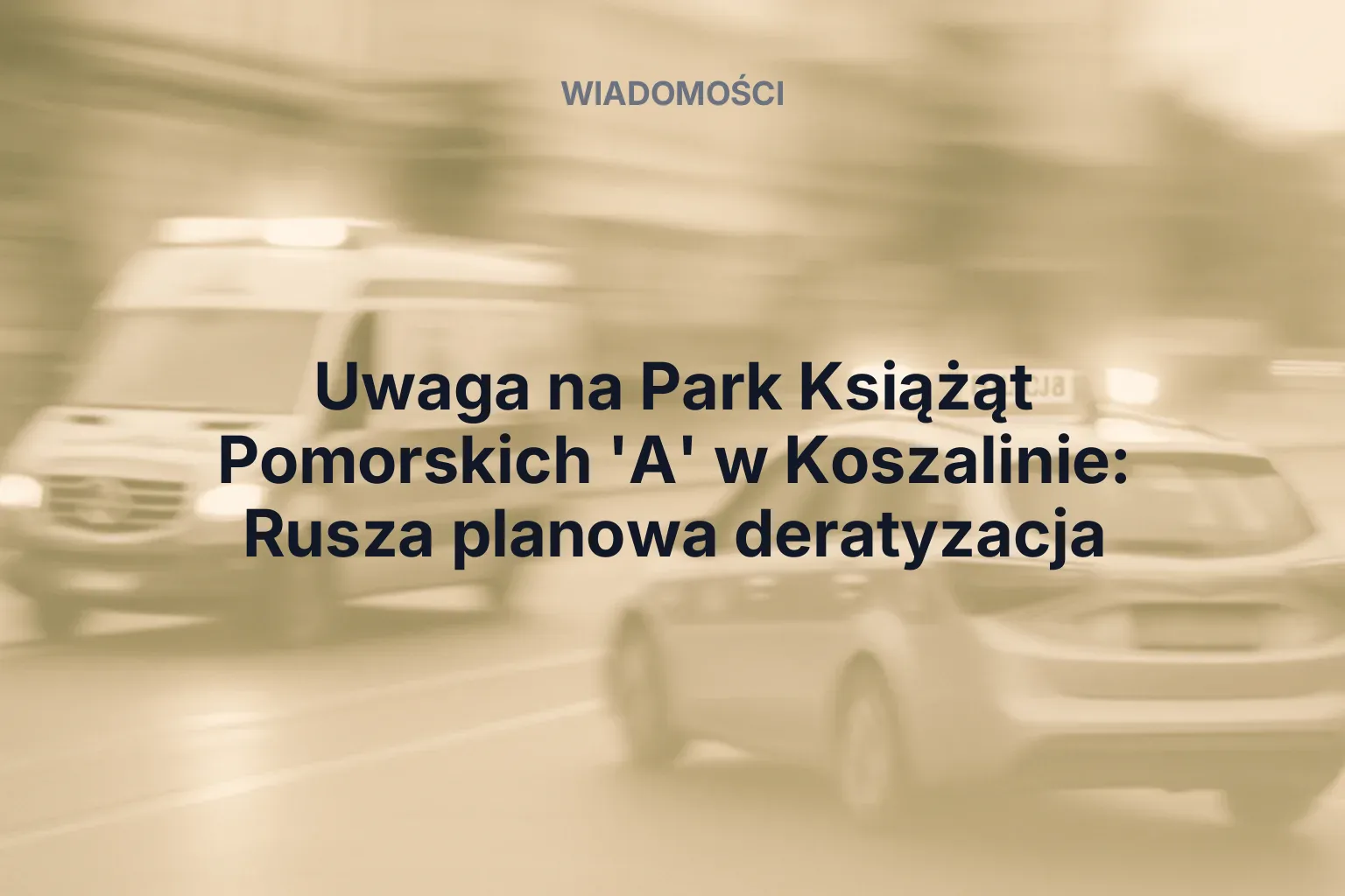 Artykuł: Uwaga na Park Książąt Pomorskich 'A' w Koszalinie: Rusza planowa deratyzacja